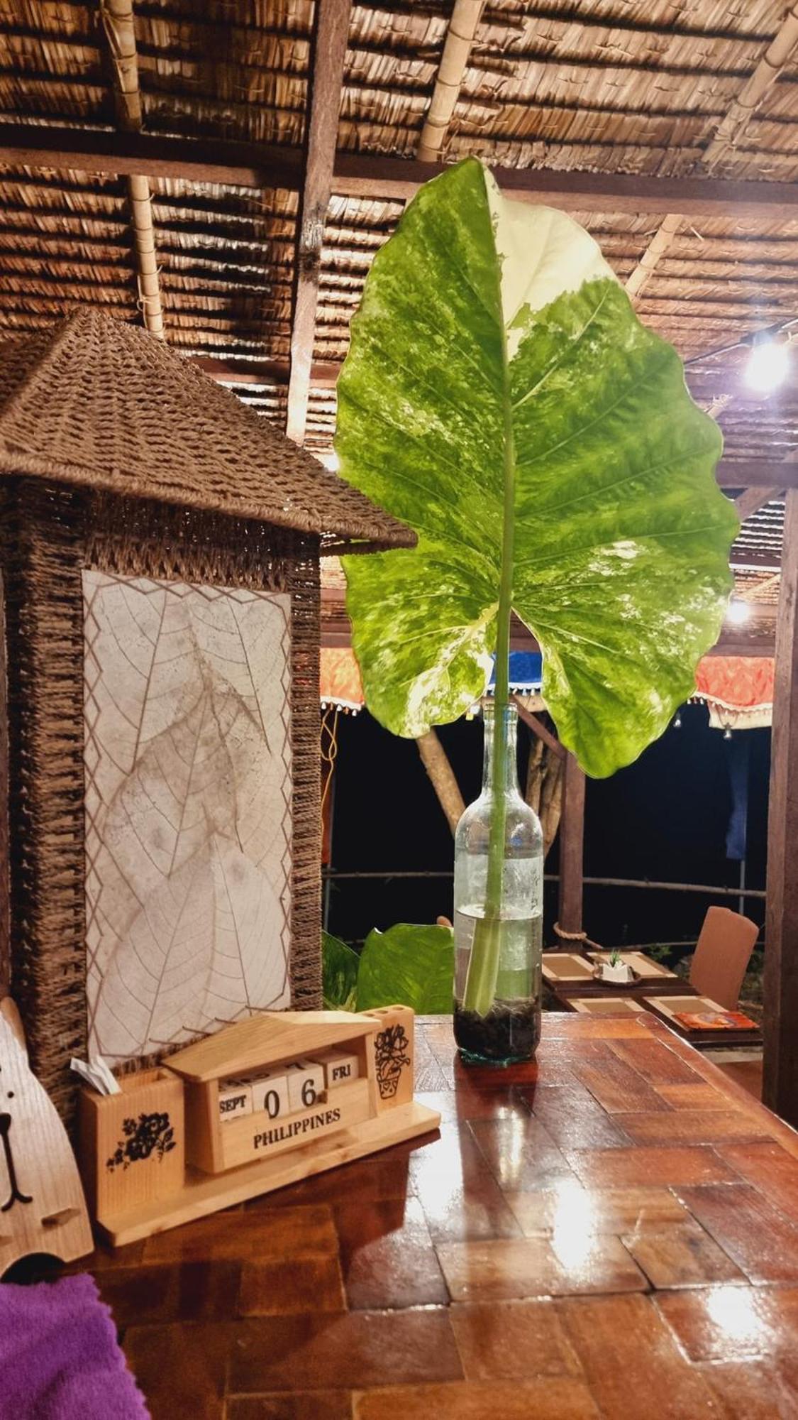 Jush Native And Glamping Hotell Dauis Exteriör bild